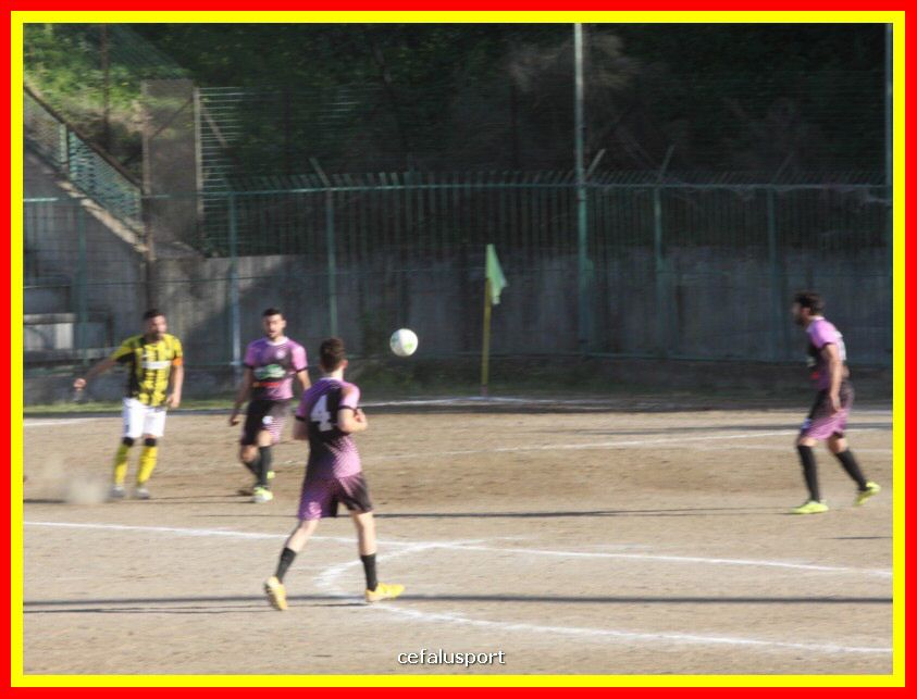 190310 Cephal_Torrenov 156_tn.jpg